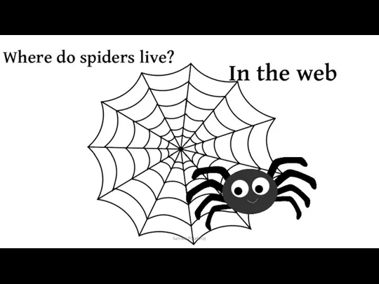 Where do spiders live? In the web Samieh Pourlahiji