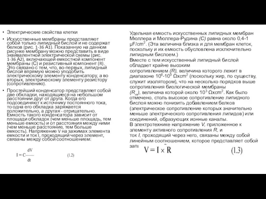 Электрические свойства клетки Искусственные мембраны представляют собой только липидный бислой и не