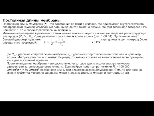 Постоянная длины мембраны Постоянная длины мембраны (λ) - это расстояние от точки