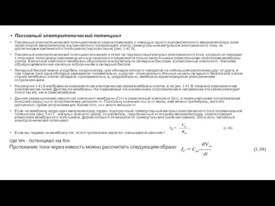 Пассивный электротонический потенциал Пассивный электротонический потенциал можно зарегистрировать с помощью одного внутриклеточного