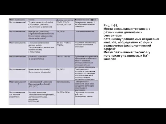 Рис. 1-61. Места связывания токсинов с различными доменами и сегментами потенциалуправляемых натриевых