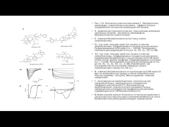 Рис. 1-63. Блокаторы участка связывания 2 - батрахотоксин, вератридин, граянотоксин и аконитин,