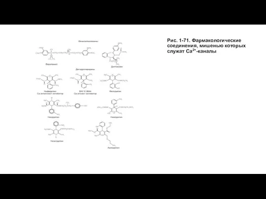 Рис. 1-71. Фармакологические соединения, мишенью которых служат Са2+-каналы