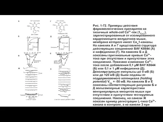 Рис. 1-72. Примеры действия фармакологических препаратов на типичный whole-cell Са2+-ток (1Са,L), зарегистрированный