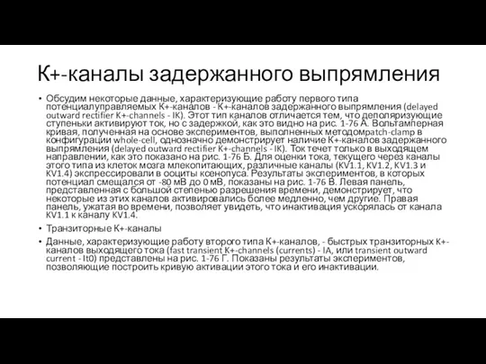 К+-каналы задержанного выпрямления Обсудим некоторые данные, характеризующие работу первого типа потенциалуправляемых К+-каналов