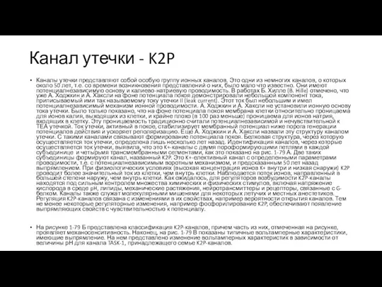 Канал утечки - K2P Каналы утечки представляют собой особую группу ионных каналов.