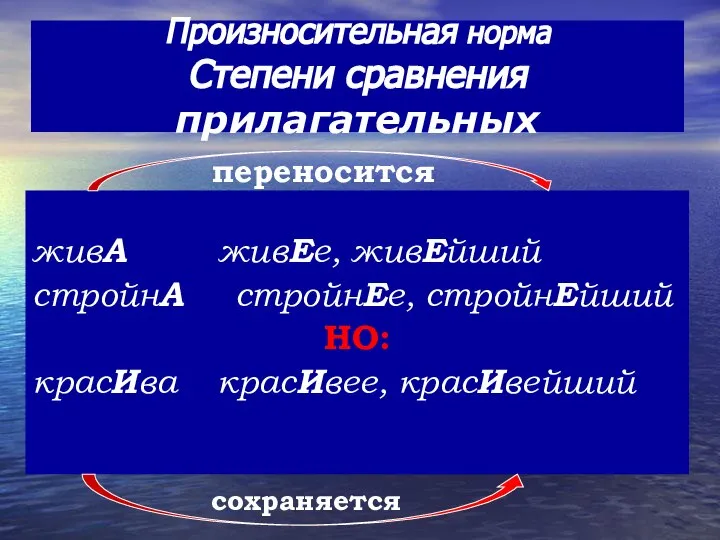 Произносительная норма Степени сравнения прилагательных живА живЕе, живЕйший стройнА стройнЕе, стройнЕйший НО: