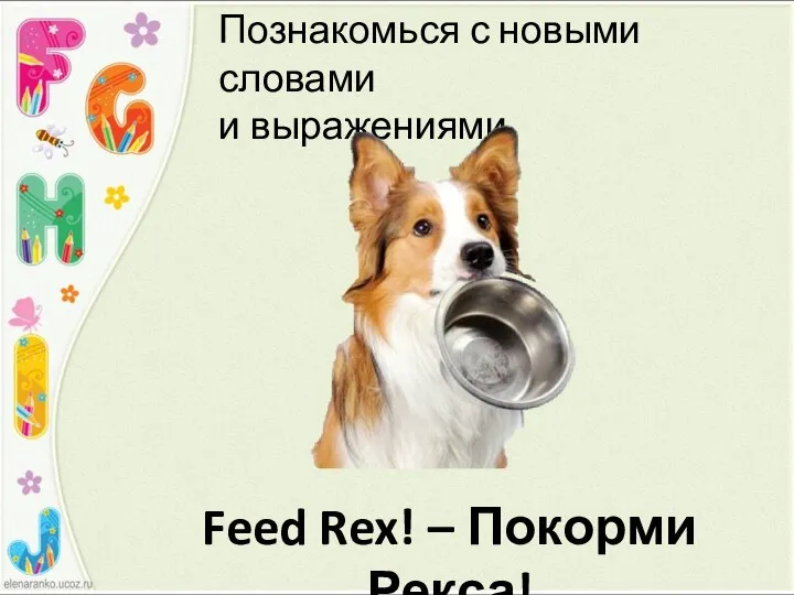 Feed Rex! – Покорми Рекса! Познакомься с новыми словами и выражениями