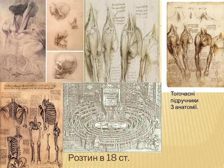 Розтин в 18 ст. Тогочасні підручники З анатомії.