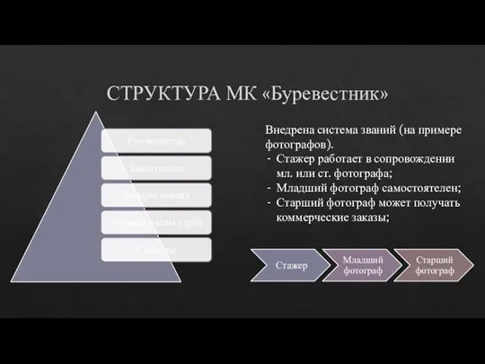 СТРУКТУРА МК «Буревестник» Внедрена система званий (на примере фотографов). Стажер работает в