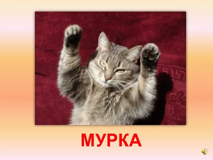 МУРКА