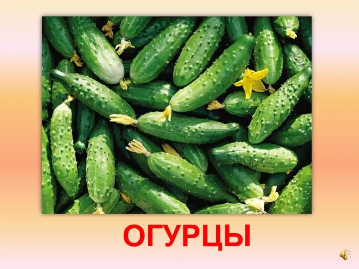 ОГУРЦЫ