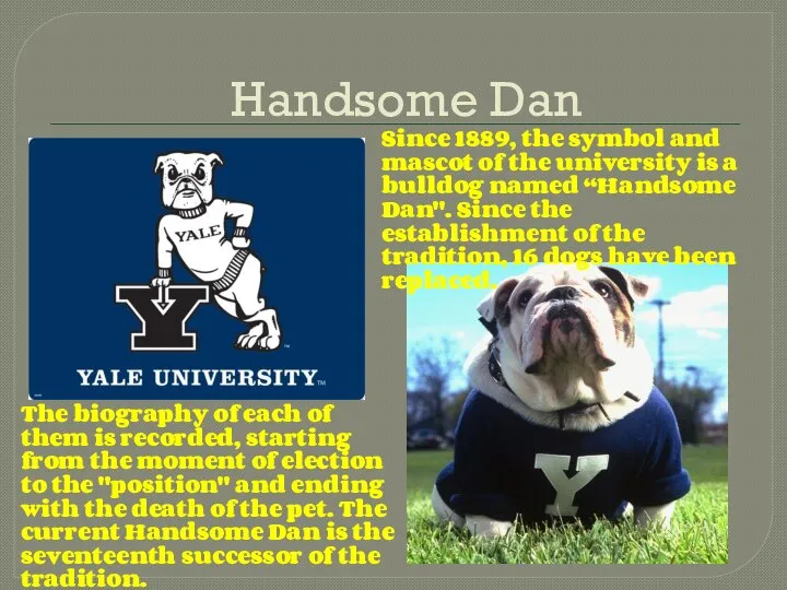 Handsome Dan Since 1889, the symbol and mascot of the university is