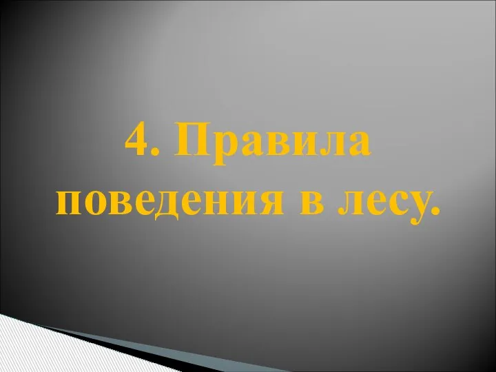 4. Правила поведения в лесу.