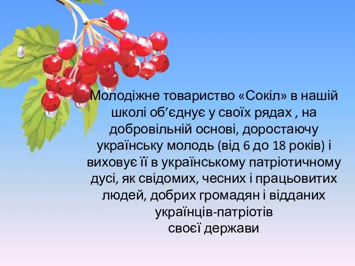 Молодіжне товариство «Сокіл» в нашій школі об’єднує у своїх рядах , на