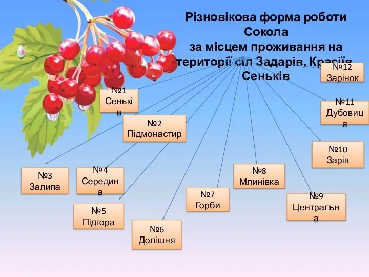 Різновікова форма роботи Сокола за місцем проживання на території сіл Задарів, Красіїв,