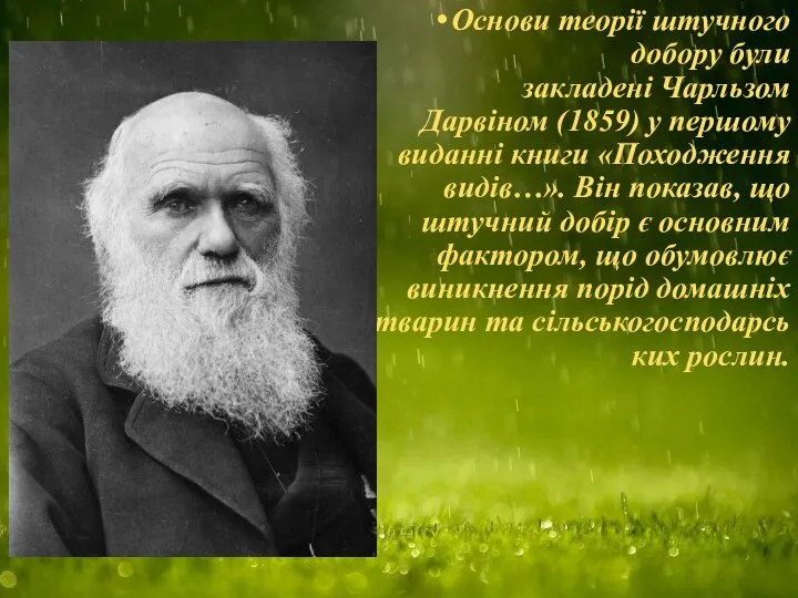 Основи теорії штучного добору були закладені Чарльзом Дарвіном (1859) у першому виданні