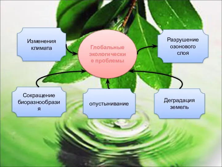 Сокращение биоразнообразия опустынивание Деградация земель Глобальные экологические проблемы Изменения климата Разрушение озонового слоя