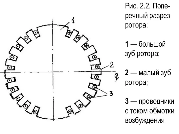 Рис. 2.2. Попе-речный разрез ротора: 1 — большой зуб ротора; 2 —