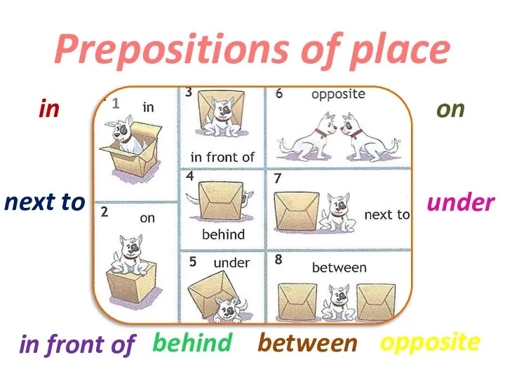 Prepositions of place in on in front of behind under next to between opposite 1