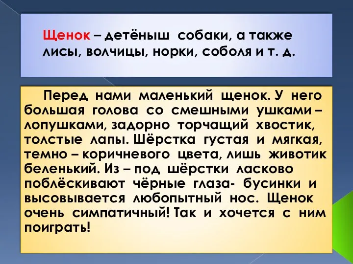 Щенок – детёныш собаки, а также лисы, волчицы, норки, соболя и т.