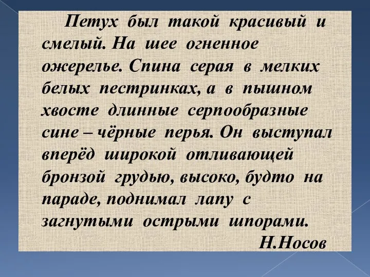 Петух был такой красивый и смелый. На шее огненное ожерелье. Спина серая