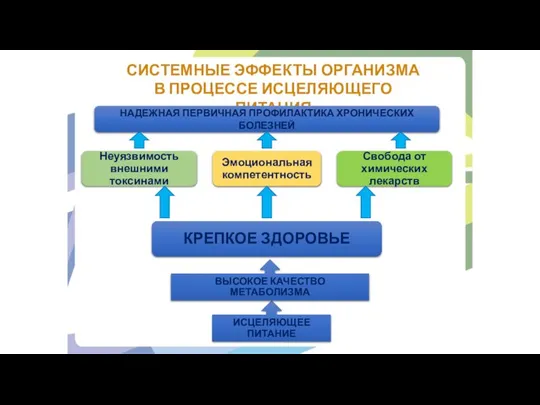 СИСТЕМНЫЕ ЭФФЕКТЫ ОРГАНИЗМА В ПРОЦЕССЕ ИСЦЕЛЯЮЩЕГО ПИТАНИЯ КРЕПКОЕ ЗДОРОВЬЕ Свобода от химических