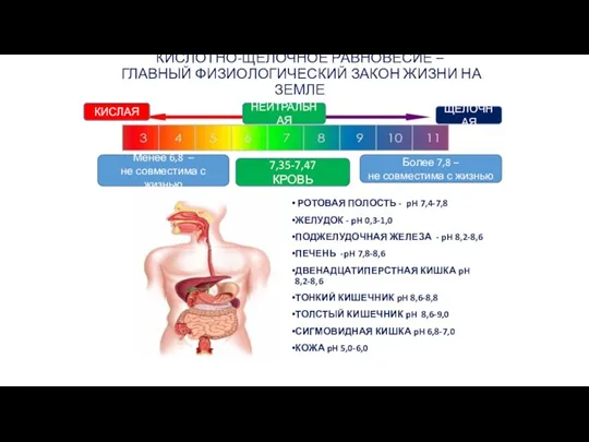 КИСЛОТНО-ЩЕЛОЧНОЕ РАВНОВЕСИЕ – ГЛАВНЫЙ ФИЗИОЛОГИЧЕСКИЙ ЗАКОН ЖИЗНИ НА ЗЕМЛЕ РОТОВАЯ ПОЛОСТЬ -