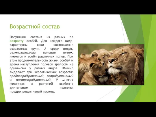 Возрастной состав Популяция состоит из разных по возрасту особей. Для каждого вида