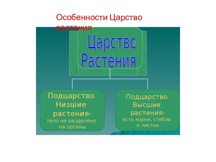 Особенности Царство растения