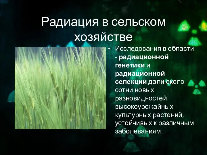 Радиация в сельском хозяйстве Исследования в области - радиационной генетики и радиационной