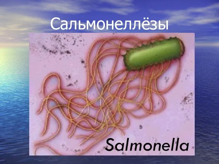Сальмонеллёзы