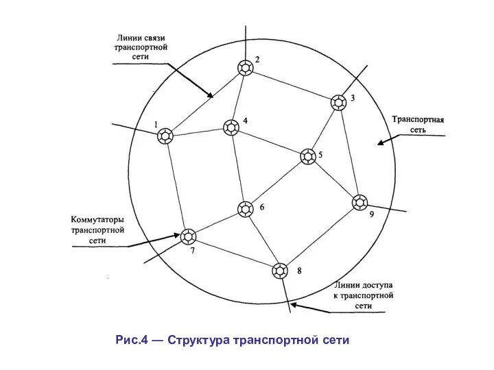 Рис.4 ― Структура транспортной сети