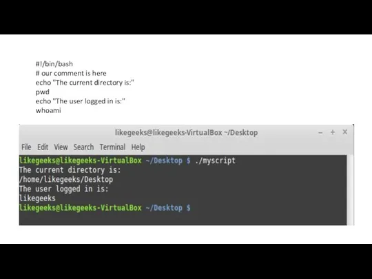 #!/bin/bash # our comment is here echo "The current directory is:" pwd