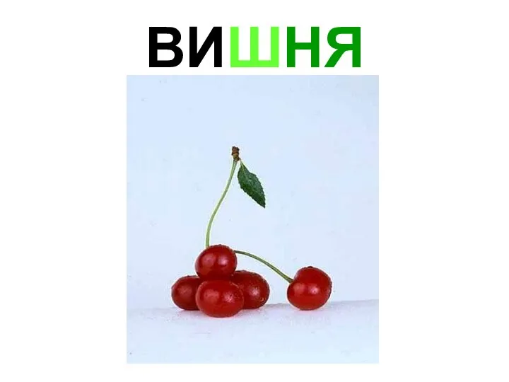 ВИШНЯ