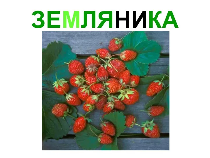 ЗЕМЛЯНИКА