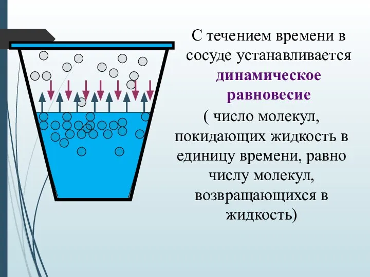 С течением времени в сосуде устанавливается динамическое равновесие ( число молекул, покидающих