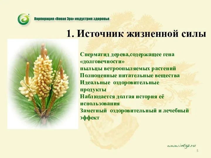 Сперматид дерева,содержащее гена«долговечности» пыльцы ветроопыляемых растений Полноценные питательные вещества Идеальные оздоровительные продукты