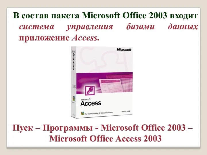 В состав пакета Microsoft Office 2003 входит система управления базами данных приложение