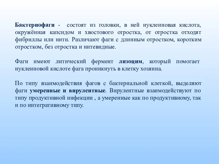 Бактериофаги - состоят из головки, в ней нуклеиновая кислота, окружённая капсидом и