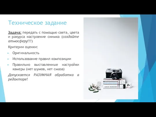 Техническое задание Задача: передать с помощью света, цвета и ракурса настроение снимка