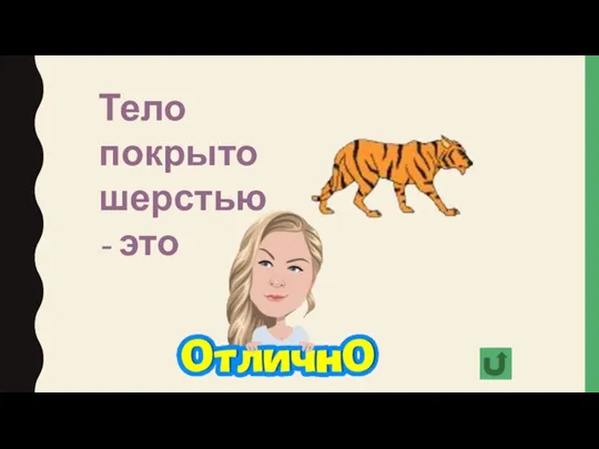 Тело покрыто шерстью - это