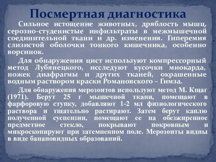 Сильное истощение животных, дряблость мышц, серозно-студенистые инфильтраты в межмышечной соединительной ткани и