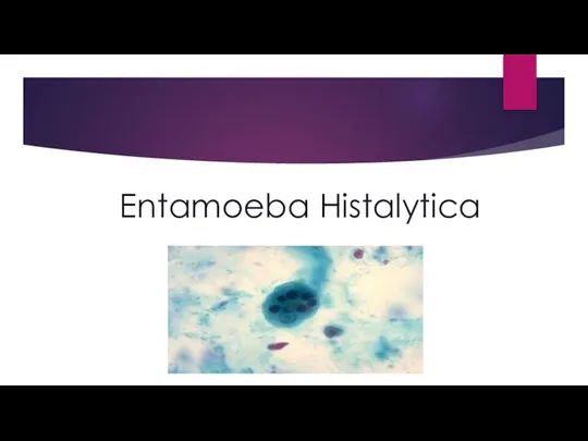 Entamoeba Histalytica