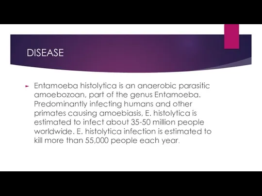 DISEASE Entamoeba histolytica is an anaerobic parasitic amoebozoan, part of the genus