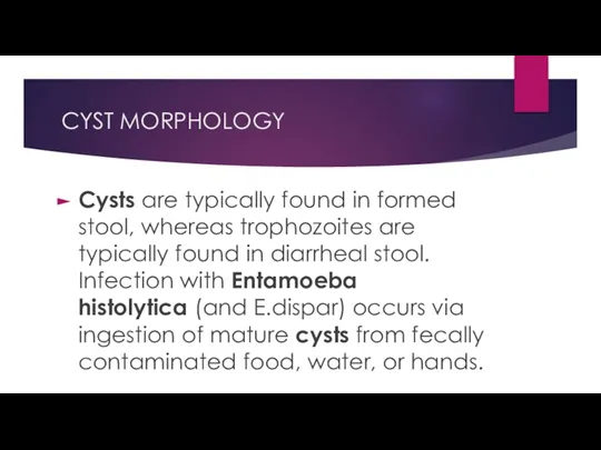 CYST MORPHOLOGY Cysts are typically found in formed stool, whereas trophozoites are