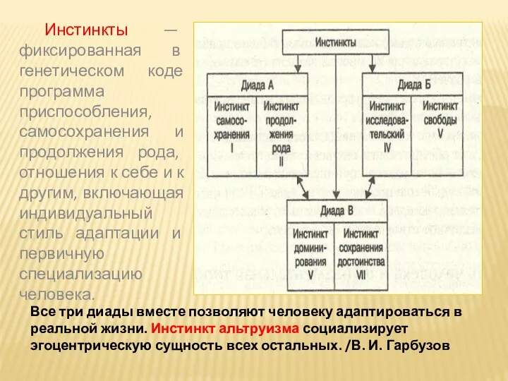 Все три диады вместе позволяют человеку адаптироваться в реальной жизни. Инстинкт альтруизма