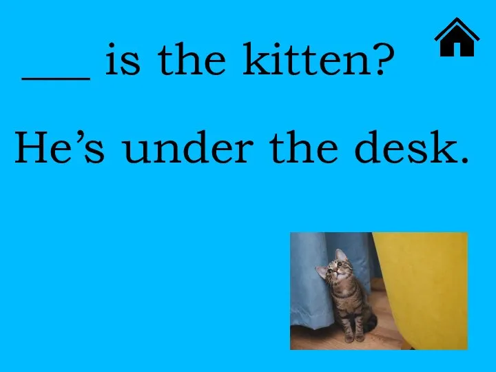 ___ is the kitten? He’s under the desk.