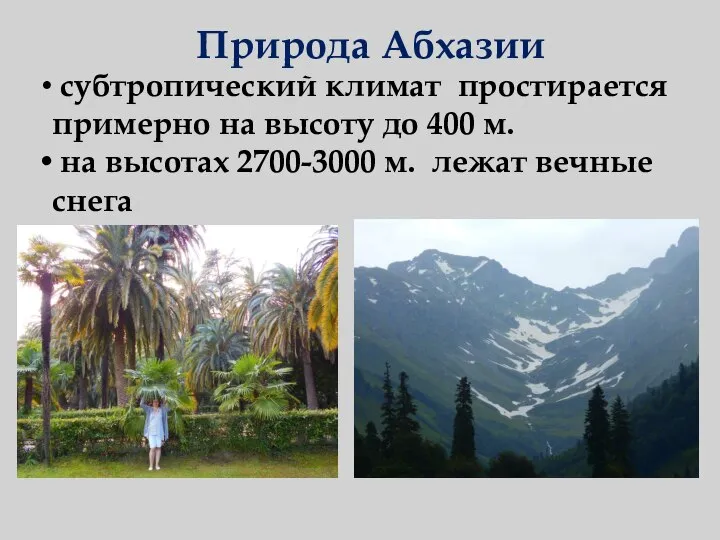 Природа Абхазии субтропический климат простирается примерно на высоту до 400 м. на