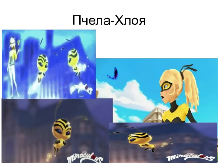 Пчела-Хлоя